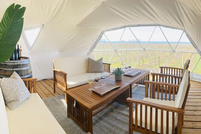 1 Hour Private Vineyard Dome Experience in Niagara-on-the-Lake - The one-hour flow: what happens from welcome to chill time