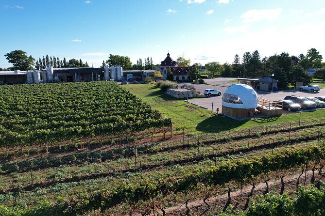 1 Hour Private Vineyard Dome Experience in Niagara-on-the-Lake - Service and hosting: why guides like Alex, JP, and Rebecca keep showing up