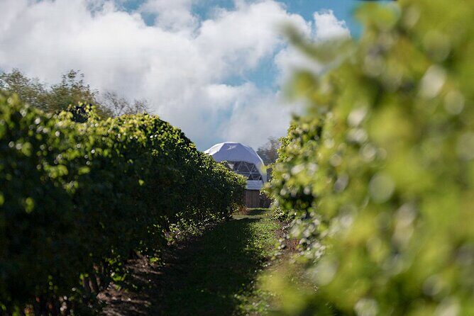 1 Hour Private Vineyard Dome Experience in Niagara-on-the-Lake - Tips to make the hour go smoothly