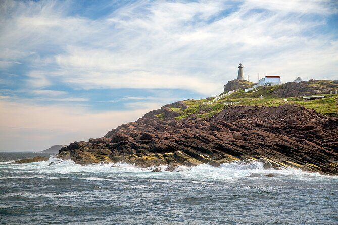 2 Hour Award-Winning Whale and Seabird Boat Tour from St. John's - Signal Hill and Cabot Tower from the water: history you can point at