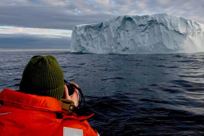 2 Hour Award-Winning Whale and Seabird Boat Tour from St. John's - From St. John’s Harbour to The Narrows: get your bearings fast