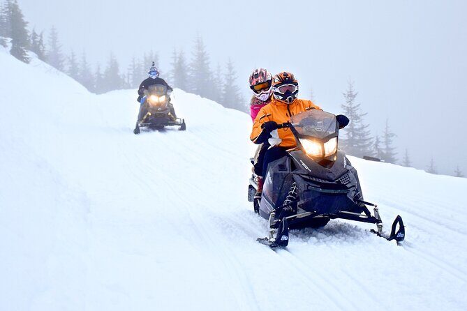2 Hour Wilderness Adventure Snowmobile Tour in Whistler - Why This 2-Hour Whistler Snowmobile Tour Feels Easier Than DIY