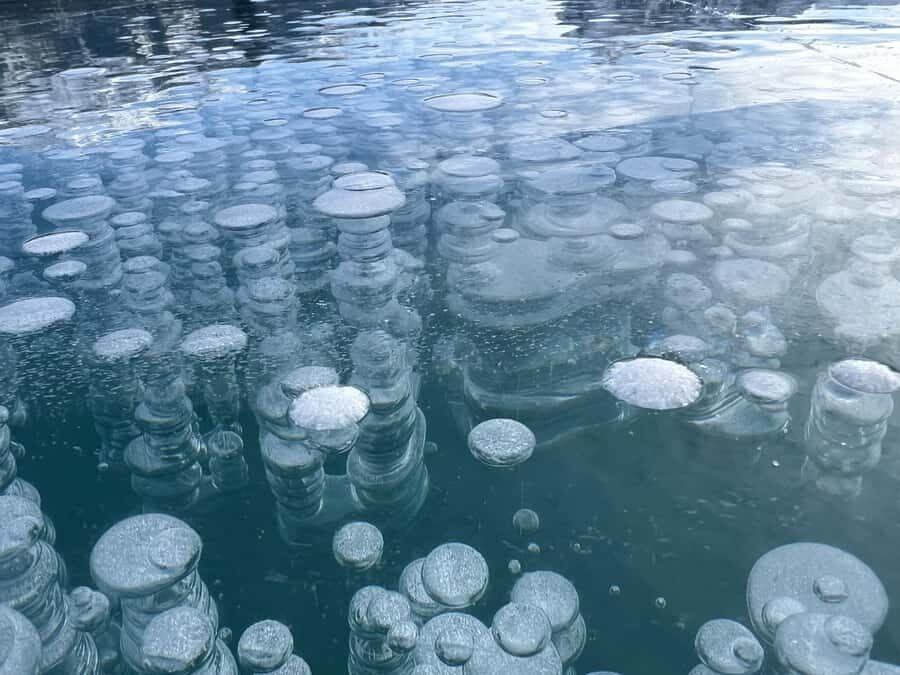 Abraham IceBubble/Sunwapta, Athabasca Falls, Peyto, Bow Lake - Route highlights: what you’ll actually see between the big stops