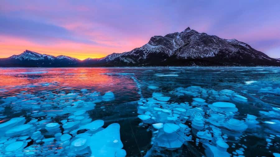 Abraham IceBubble/Sunwapta, Athabasca Falls, Peyto, Bow Lake - Price and value: what $60 buys in the Rockies