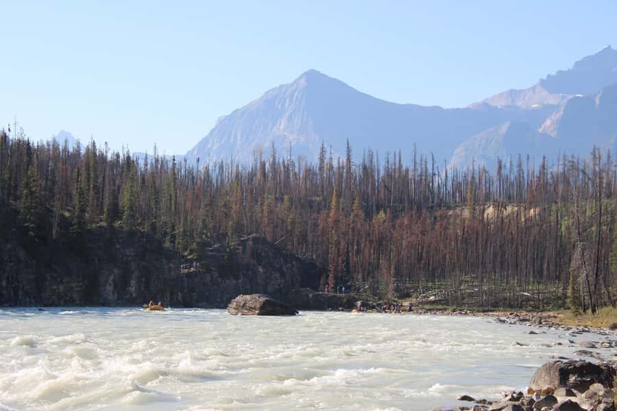 Athabasca Falls: Class 2 White Water Rafting Adventure - Rapids Sequence on the Athabasca: Fast First Hits, Canyon Quiet, Big Views
