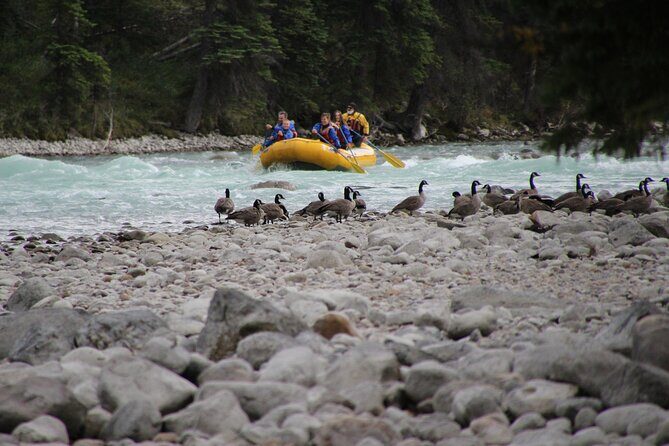 Athabasca River Mile 5 - Photos: keep your hands free and buy the best shots