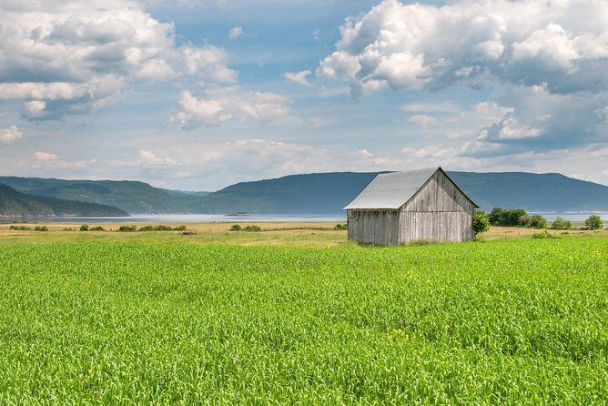 Back Country of the Fjord and the National Park - Tips to make the day smoother (no guesswork required)