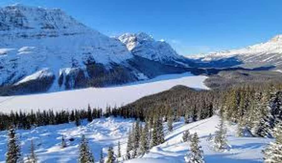 Banff and Jasper National Parks Tour and Glacier Adventure - Bow Lake Break: A Breather Before the Big Stops