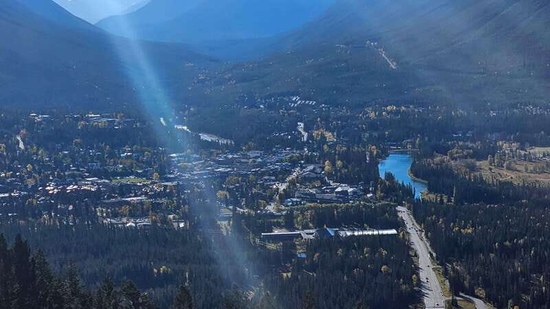 Banff: Evening Wildlife Safari Guided Tour - How the Evening Views Work: Stops and Viewing Moments You Might Catch