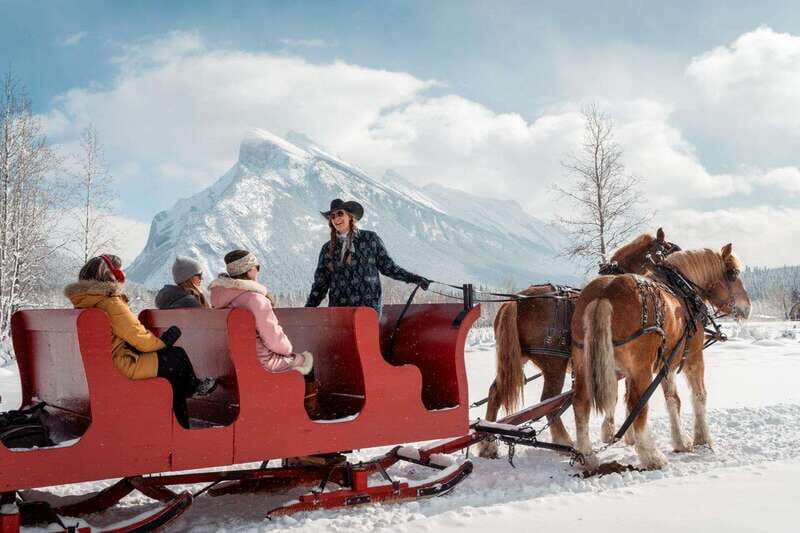 Banff: Family Friendly Horse-Drawn Sleigh Ride - Key things to know before you go