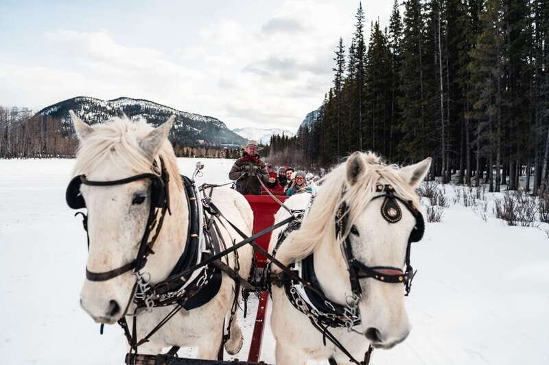 Banff: Family Friendly Horse-Drawn Sleigh Ride - Family-Friendly Comfort: Seating, Kids, and the Big Winter Smiles