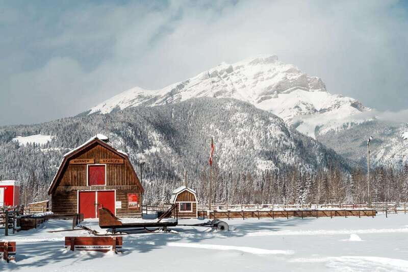 Banff: Family Friendly Horse-Drawn Sleigh Ride - Horse Bells, Wool Blankets, and Mountain Views in Banff