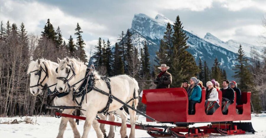 Banff: Family Friendly Horse-Drawn Sleigh Ride - Price and Value: Is $39 Per Person a Fair Deal?