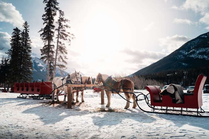 Banff: Family Friendly Horse-Drawn Sleigh Ride - What to Bring So Winter Doesn’t Ruin the Fun