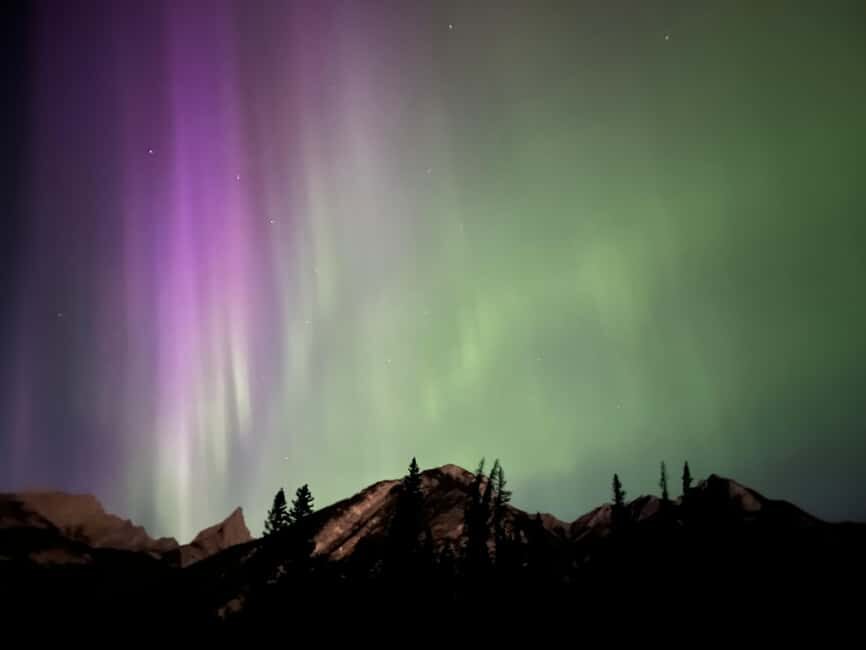Banff: Guided Sunset and Stargazing Tour - Night wildlife and bear-spray reality checks