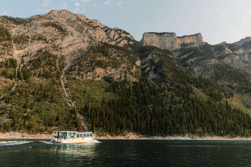 Banff: Lake Minnewanka Cruise - Wildlife spotting from the water: what you can realistically expect