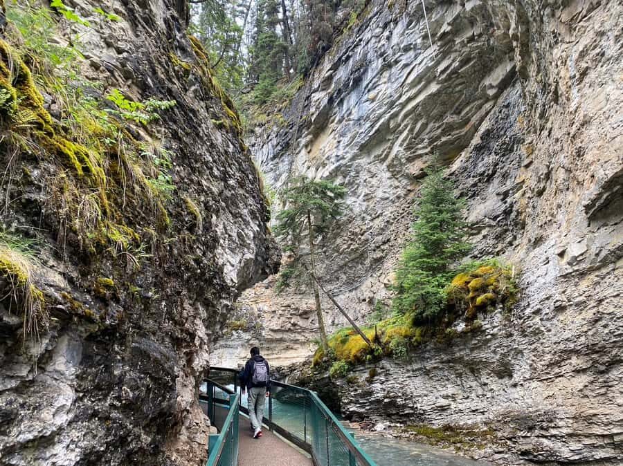 Banff: Louise & Moraine Lake or Johnston Canyon 1/2 Day Tour - Price and value: what $43 per person really buys you