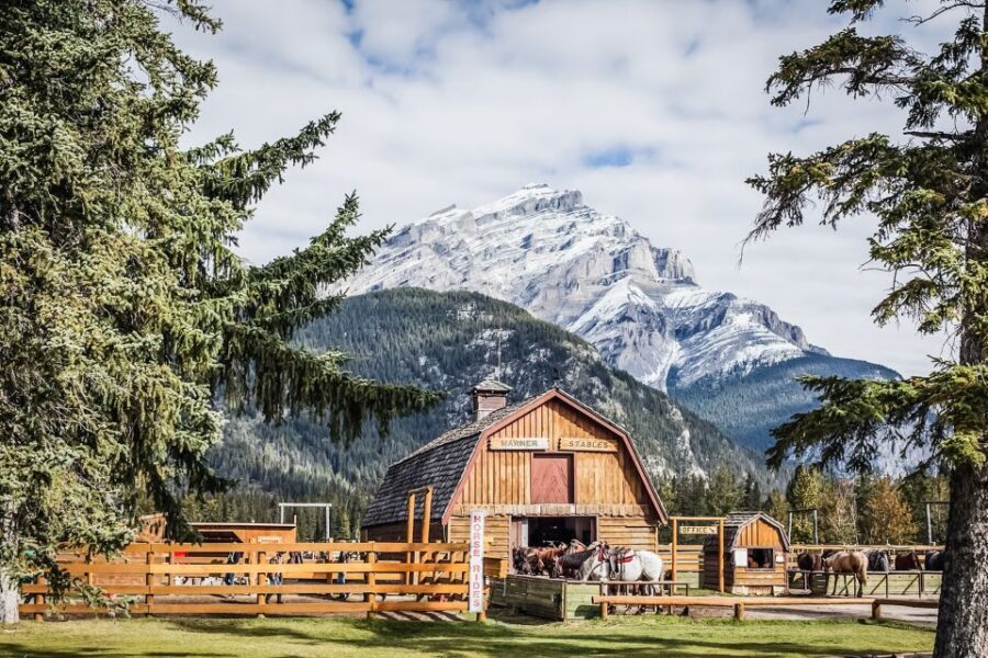 Banff National Park: 1-Hour Bow River Horseback Ride - First Contact with Your Horse: Mounting and Basic Control