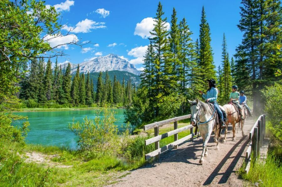 Banff National Park: 1-Hour Bow River Horseback Ride - One Hour on the Bow River: Views, Meandering Trail Time, and Quiet Wildlife Spots