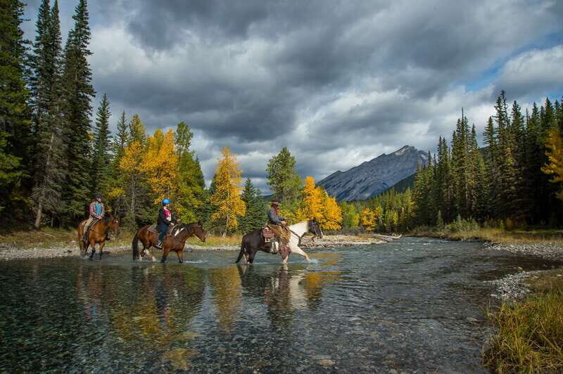 Banff National Park: 1-Hour Spray River Horseback Ride - Horse comfort and safety: lead and tail guides keep you steady