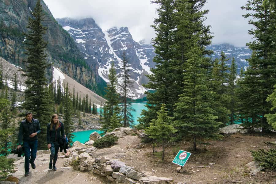 Banff National Park: Hop-On-Hop-Off Bus Day-Pass - Wildlife spotting from the bus: safe windows and real chances