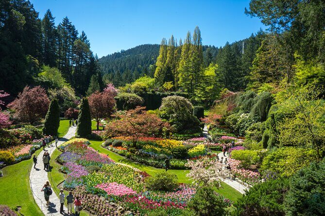 Butchart Gardens and Victoria Sightseeing Tour from Vancouver - The Return Trip: Swartz Bay, Deck Views, and Back to Vancouver