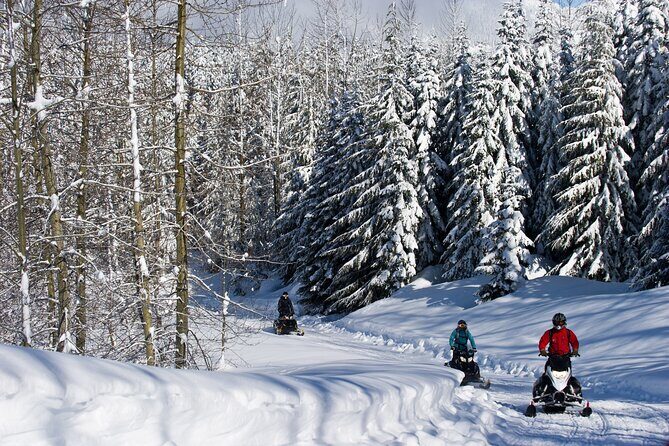 Callaghan Cruiser Snowmobile Tour - The Ride Through the Callaghan Valley: Forest Trails and Wildlife Time
