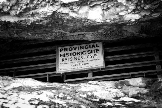 Canmore Caving Adventure Tour - Should you book the Canmore Caving Adventure Tour?