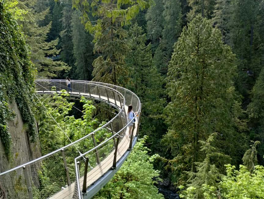 Capilano Br+Grouse Mtn+Dam+Lake&Hatcher/5in1/Small Group/Car - Value at $187: what the price covers in real terms