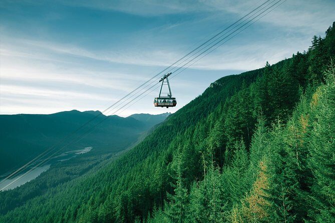 Capilano Suspension Bridge + Grouse Mountain Tour - Why This North Shore Day Tour Feels Like Vancouver, Not Just Sightseeing