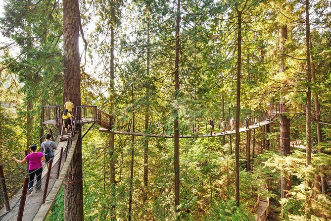 Capilano Suspension Bridge + Grouse Mountain Tour - Guide Quality: The Best Part Is Often the Stories