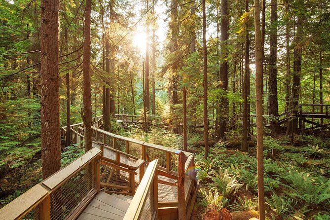 Capilano Suspension Bridge Park Ticket - The Capilano Suspension Bridge: the iconic crossing and its payoff