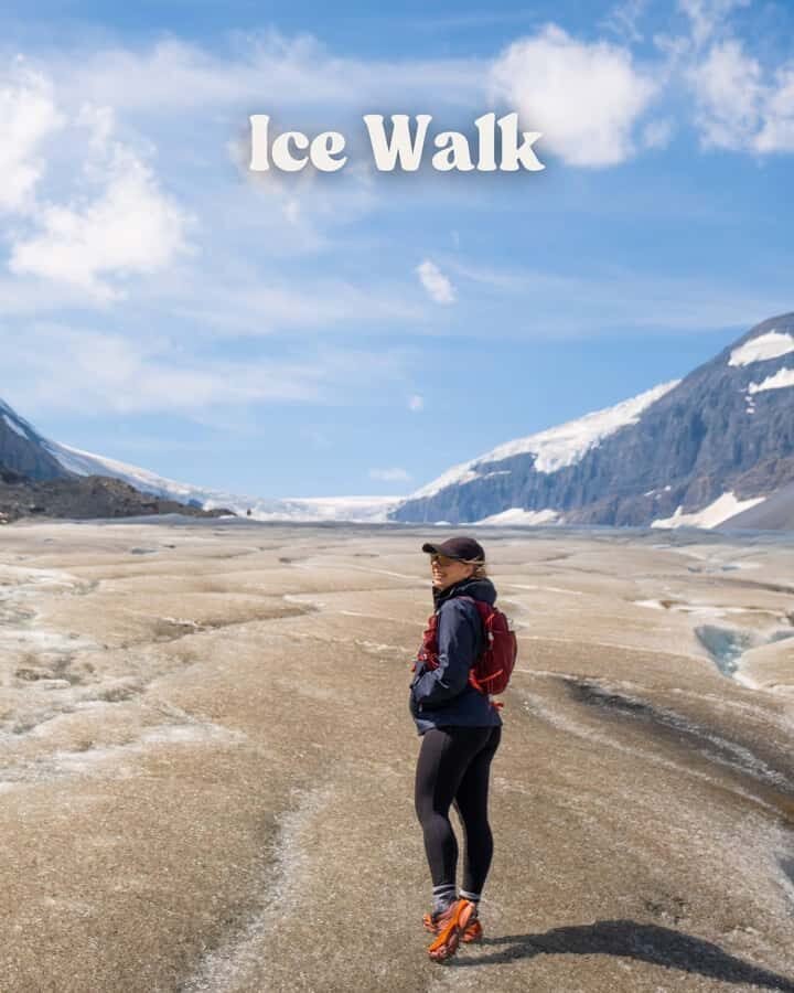 Columbia Icefield, Skywalk, Crowfoot Glacier, and Lakes Tour - Peyto Lake: That Wolf-Head Shape and the Glacial Color