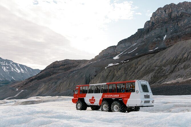 Columbia Icefield Tour with Glacier Skywalk - Scenic add-ons you’ll notice on the way: Weeping Wall, Crowfoot, Peyto, Bow Lake