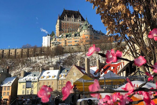Combo Historical and Food Tour of Old Quebec - The food part: four to five stops, five courses, and drink pairings