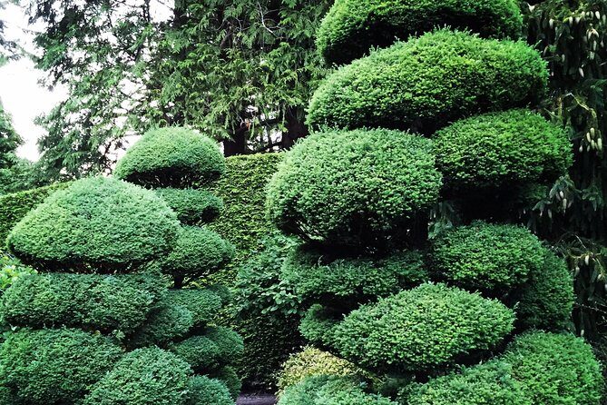 COMBO Victoria City Tour & Butchart Gardens & Entry Tix - Departure times, evening options, and avoiding crowd headaches
