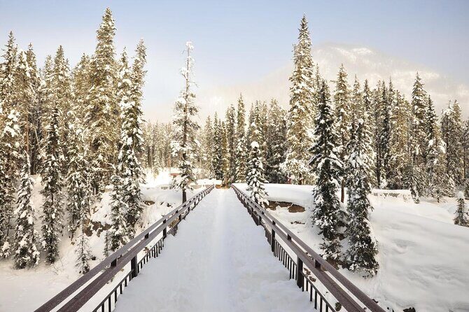 Day Trip: Lake Louise, Moraine Lake, Emerald Lake, Banff - Price and value: why this can be a smart buy
