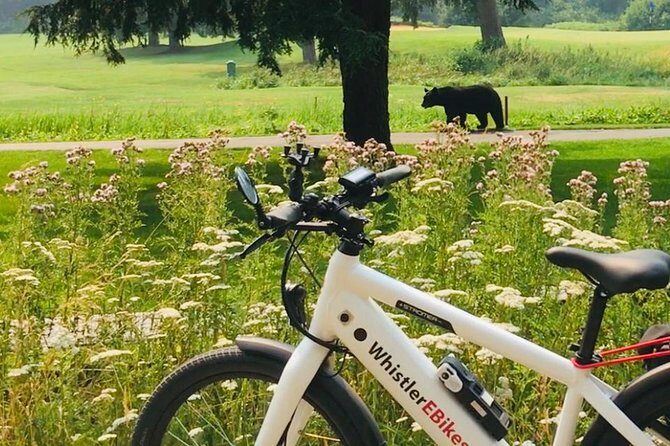 eBike Adventure in Whistler - What This Whistler eBike Adventure Feels Like on the Trail