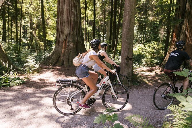 Epic Electric Bike Tour by Cycle City Tours - Pacing, Fitness Level, and Weather Reality