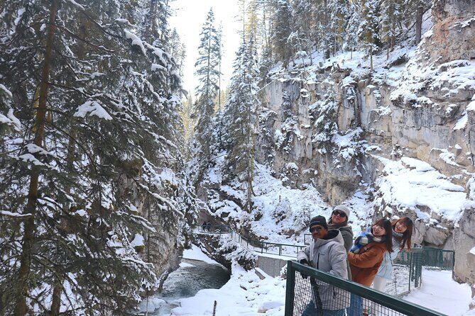 Explore Banff National Park with Our Premium Day Tour - Summer vs winter: how the route changes at Banff’s gates