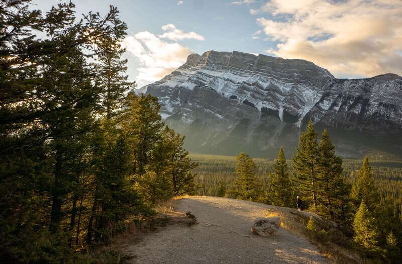 From Banff: Banff Wildlife & Scenic Highlights Premium Tour - Key things you’ll notice on this tour