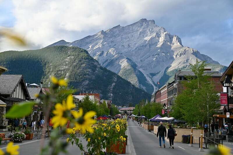 From Banff: Banff Wildlife & Scenic Highlights Premium Tour - Banff National Park drive: the “in-between” that’s where animals pop up