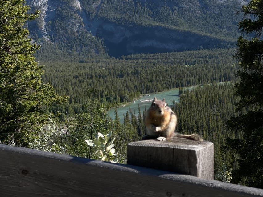 From Banff: Moraine Lake and Lake Louise Half Day Tour - Who should book this Lake Louise and Moraine Lake shuttle?