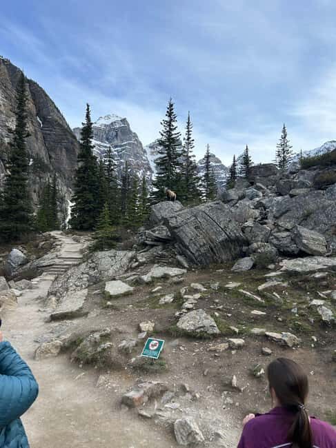 From Calgary/Banff: Moraine Lake & Lake Louise Half-Day Tour - Value check: what you’re really paying for at about $86 per person