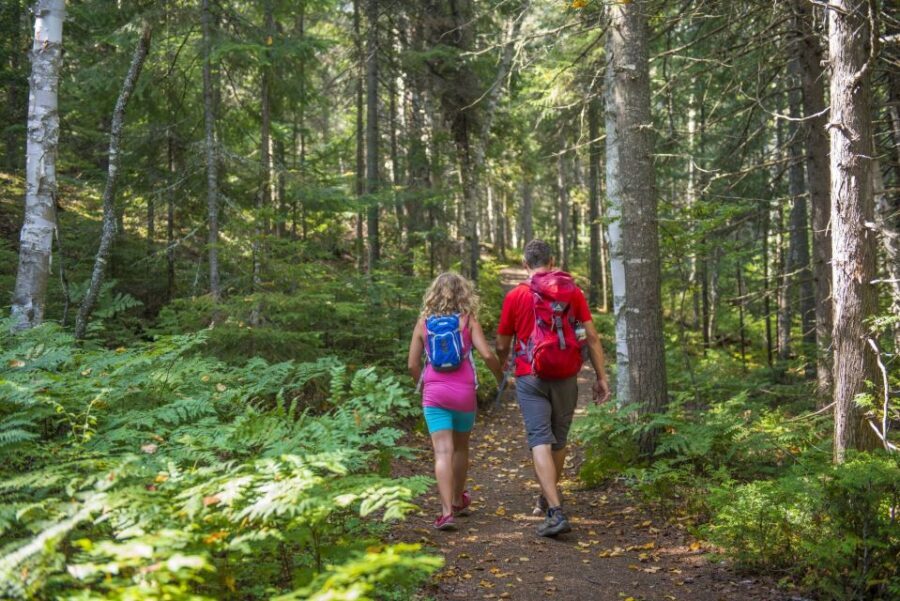 From Montreal: Mont-Tremblant National Park Hiking Day Trip - Should you book this tour?