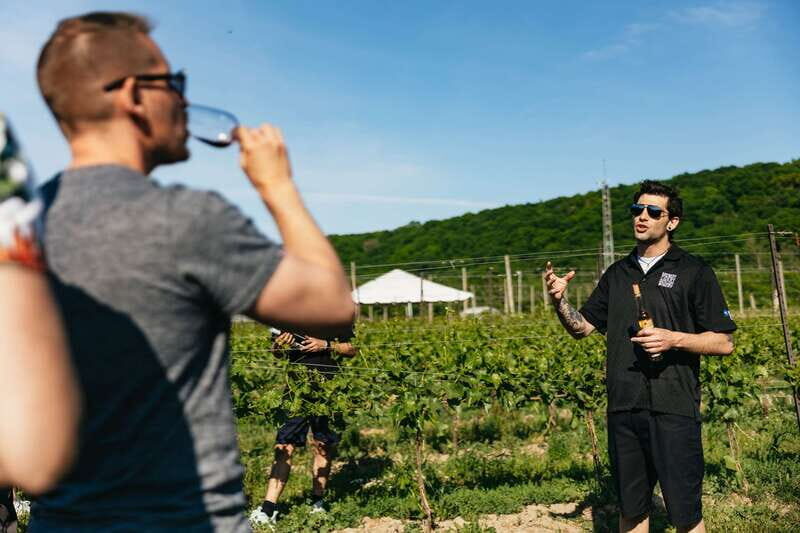 From Toronto: Niagara Falls + Winery, Cruise, & Lunch Option - Practical Tips for a Smooth Day (So You Enjoy It More)