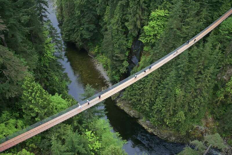 From Vancouver: Capilano Suspension Bridge & Grouse Mountain - North Shore in One Day: What You’ll Remember