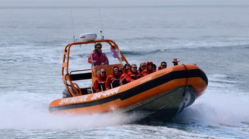 From Victoria: Whale Watching Tour by Zodiac Boat - Getting to SpringTide’s office in Victoria (and what to do first)