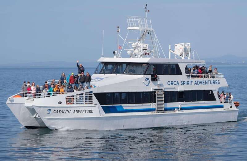 From Victoria: Whale Watching Trip on Covered Boat - Getting there without stress: meeting point and what your day looks like