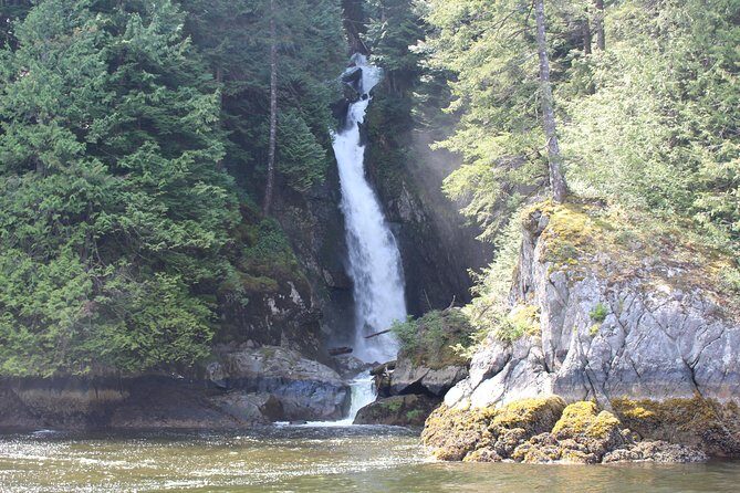 Granite Falls Zodiac Tour by Vancouver Water Adventures - Wildlife spotting and guide energy: the human factor